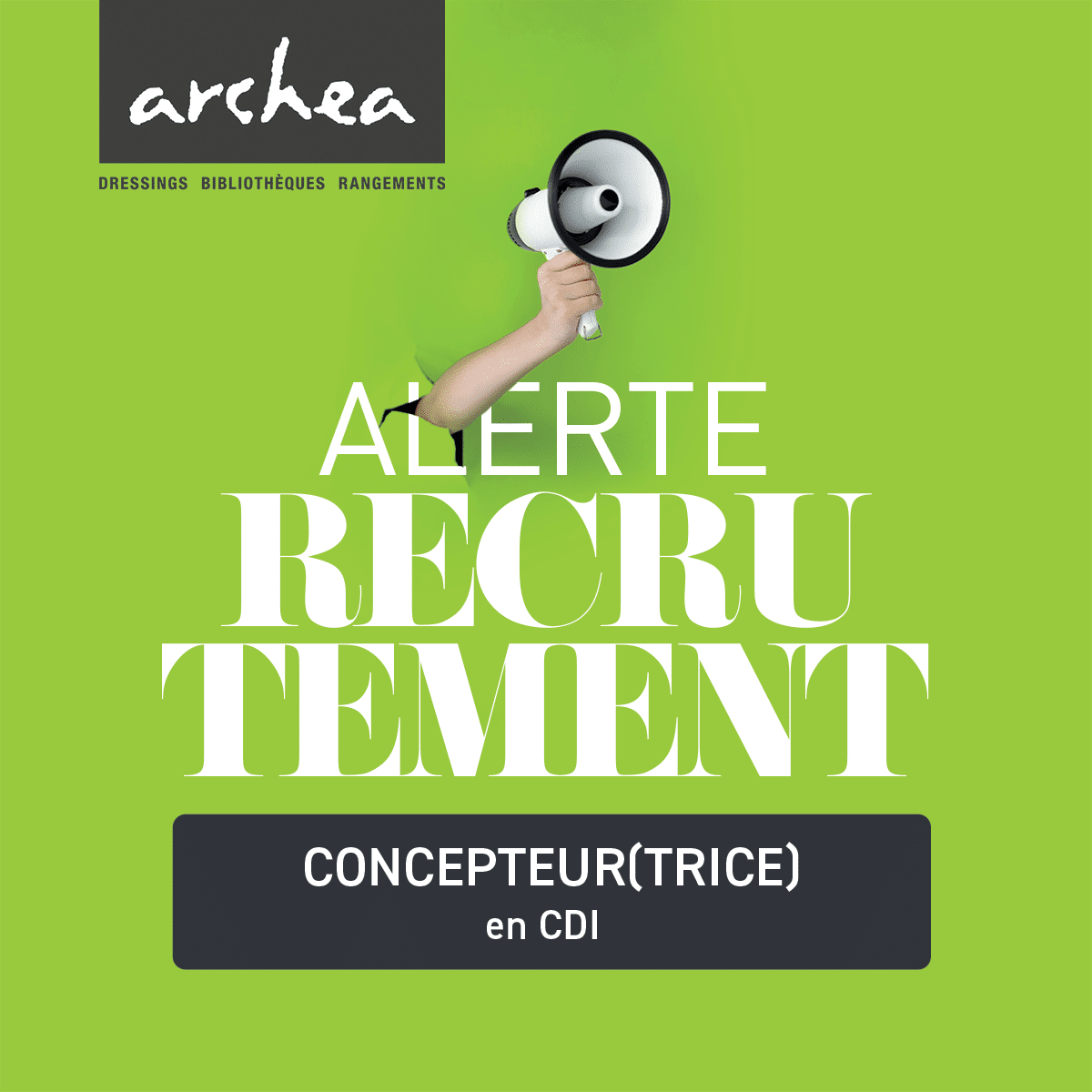 Recrutement Concepteur - Archea